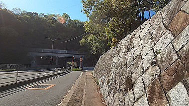 gx017738.mp4_snapshot_00.01_thumb.jpg