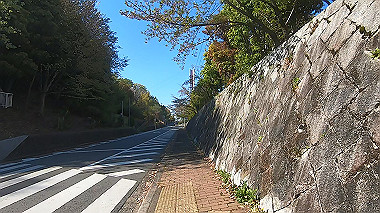 gx017738.mp4_snapshot_00.07_thumb.jpg
