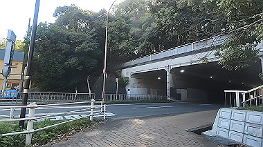 gx017738.mp4_snapshot_00.12_thumb.jpg
