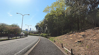 gx017738.mp4_snapshot_00.46_thumb.jpg