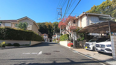 gx017738.mp4_snapshot_01.11_thumb.jpg
