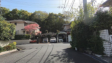 gx017739.mp4_snapshot_00.00_thumb.jpg