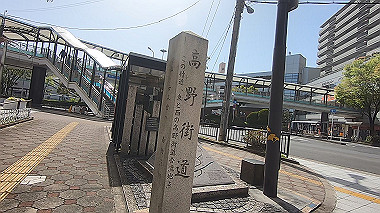 gx017748.mp4_snapshot_00.42_thumb.jpg