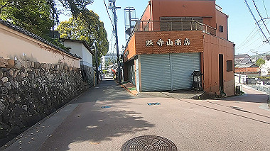gx017749.mp4_snapshot_00.13_thumb.jpg