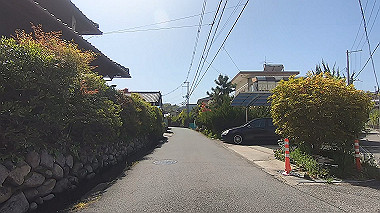 gx017751.mp4_snapshot_00.17_thumb.jpg