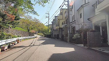 gx017752.mp4_snapshot_00.50_thumb.jpg