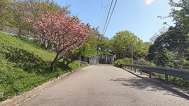 gx017752.mp4_snapshot_01.00_thumb.jpg