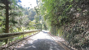 gx017752.mp4_snapshot_02.54_thumb.jpg