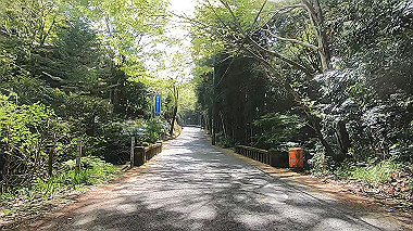 gx017752.mp4_snapshot_04.15_thumb.jpg