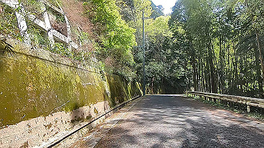gx017754.mp4_snapshot_01.30_thumb.jpg