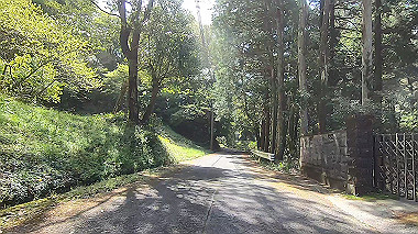 gx017754.mp4_snapshot_02.39_thumb.jpg