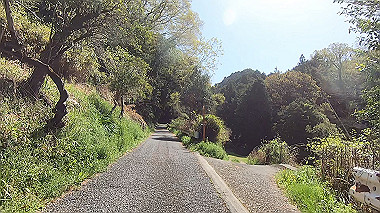 gx017755.mp4_snapshot_03.21_thumb.jpg