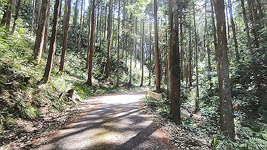 gx017756.mp4_snapshot_00.05_thumb.jpg