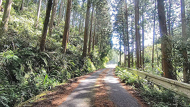 gx017756.mp4_snapshot_02.06_thumb.jpg