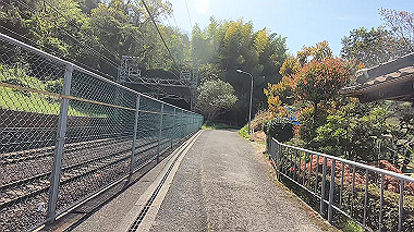 gx017760.mp4_snapshot_00.14_thumb.jpg