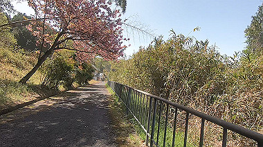 gx017760.mp4_snapshot_00.50_thumb.jpg