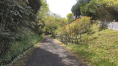 gx017760.mp4_snapshot_01.46_thumb.jpg
