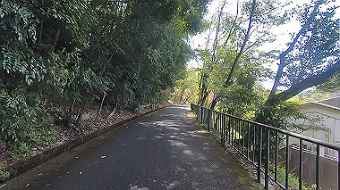 gx017761.mp4_snapshot_00.11_thumb.jpg