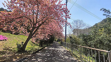 gx017761.mp4_snapshot_00.33_thumb.jpg