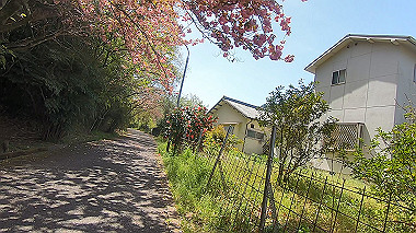 gx017761.mp4_snapshot_00.47_thumb.jpg
