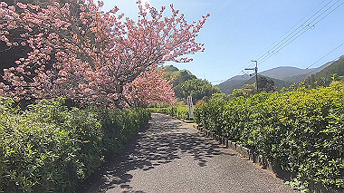 gx017761.mp4_snapshot_02.58_thumb.jpg