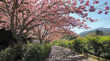 gx017761.mp4_snapshot_03.06_thumb.jpg