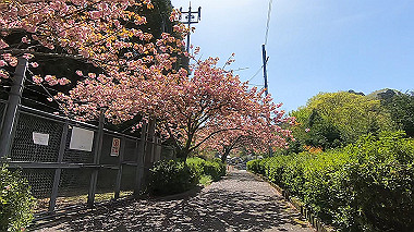 gx017761.mp4_snapshot_03.28_thumb.jpg