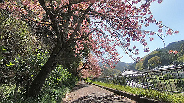 gx017761.mp4_snapshot_04.25_thumb.jpg