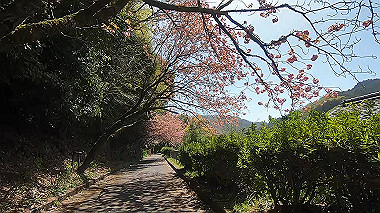 gx017761.mp4_snapshot_05.03_thumb.jpg