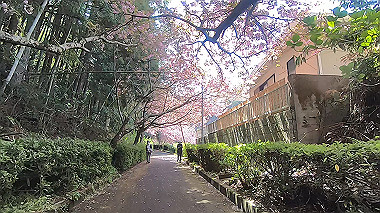 gx017761.mp4_snapshot_07.06_thumb.jpg