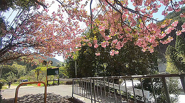 gx017761.mp4_snapshot_07.46_thumb.jpg