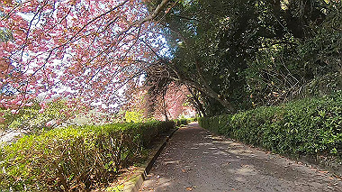 gx017762.mp4_snapshot_00.17_thumb.jpg