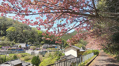 gx017764.mp4_snapshot_00.05_thumb.jpg