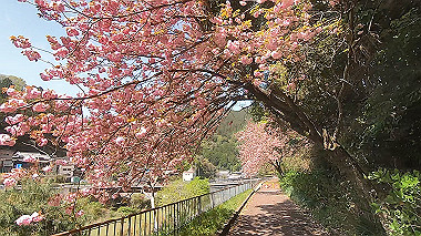 gx017764.mp4_snapshot_00.18_thumb.jpg
