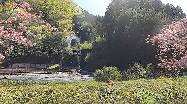 gx017764.mp4_snapshot_01.22_thumb.jpg