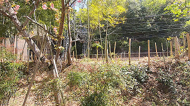 gx017764.mp4_snapshot_03.12_thumb.jpg