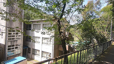 gx017764.mp4_snapshot_03.24_thumb.jpg