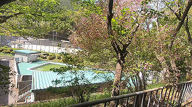 gx017764.mp4_snapshot_03.31_thumb.jpg
