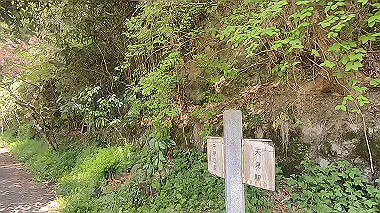 gx017765.mp4_snapshot_00.23_thumb.jpg