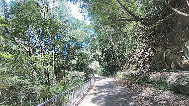 gx017766.mp4_snapshot_00.09_thumb.jpg