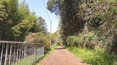 gx017768.mp4_snapshot_00.01_thumb.jpg