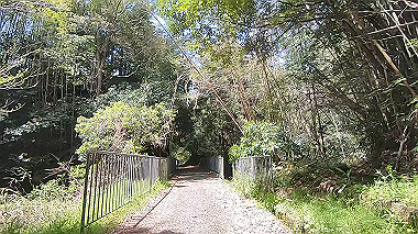 gx017768.mp4_snapshot_00.55_thumb.jpg