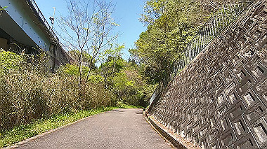 gx017768.mp4_snapshot_02.14_thumb.jpg