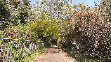 gx017769.mp4_snapshot_00.02_thumb.jpg