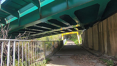 gx017769.mp4_snapshot_00.24_thumb.jpg