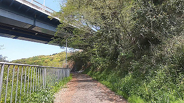 gx017769.mp4_snapshot_00.29_thumb.jpg