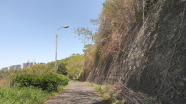 gx017769.mp4_snapshot_00.48_thumb.jpg