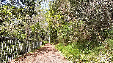 gx017769.mp4_snapshot_01.24_thumb.jpg