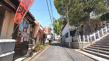 gx017772.mp4_snapshot_00.24_thumb.jpg