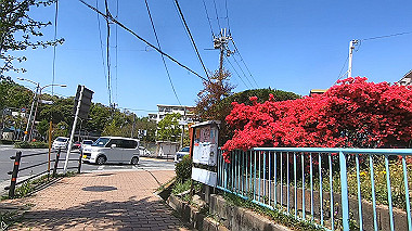 gx017777.mp4_snapshot_03.13_thumb.jpg